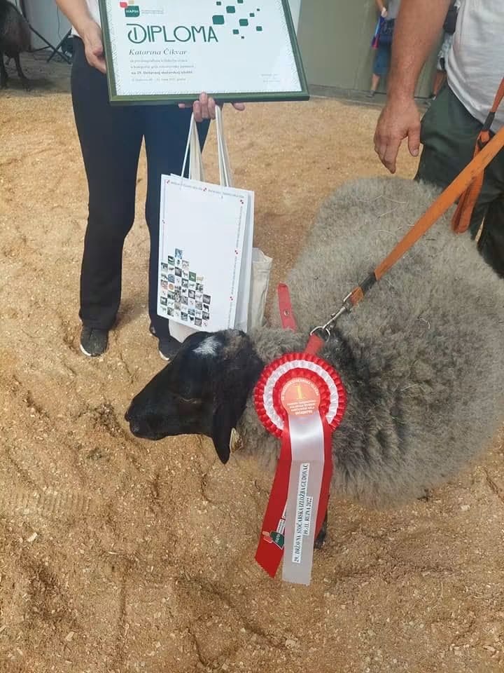 Naše ovce na dodjeli nagrada