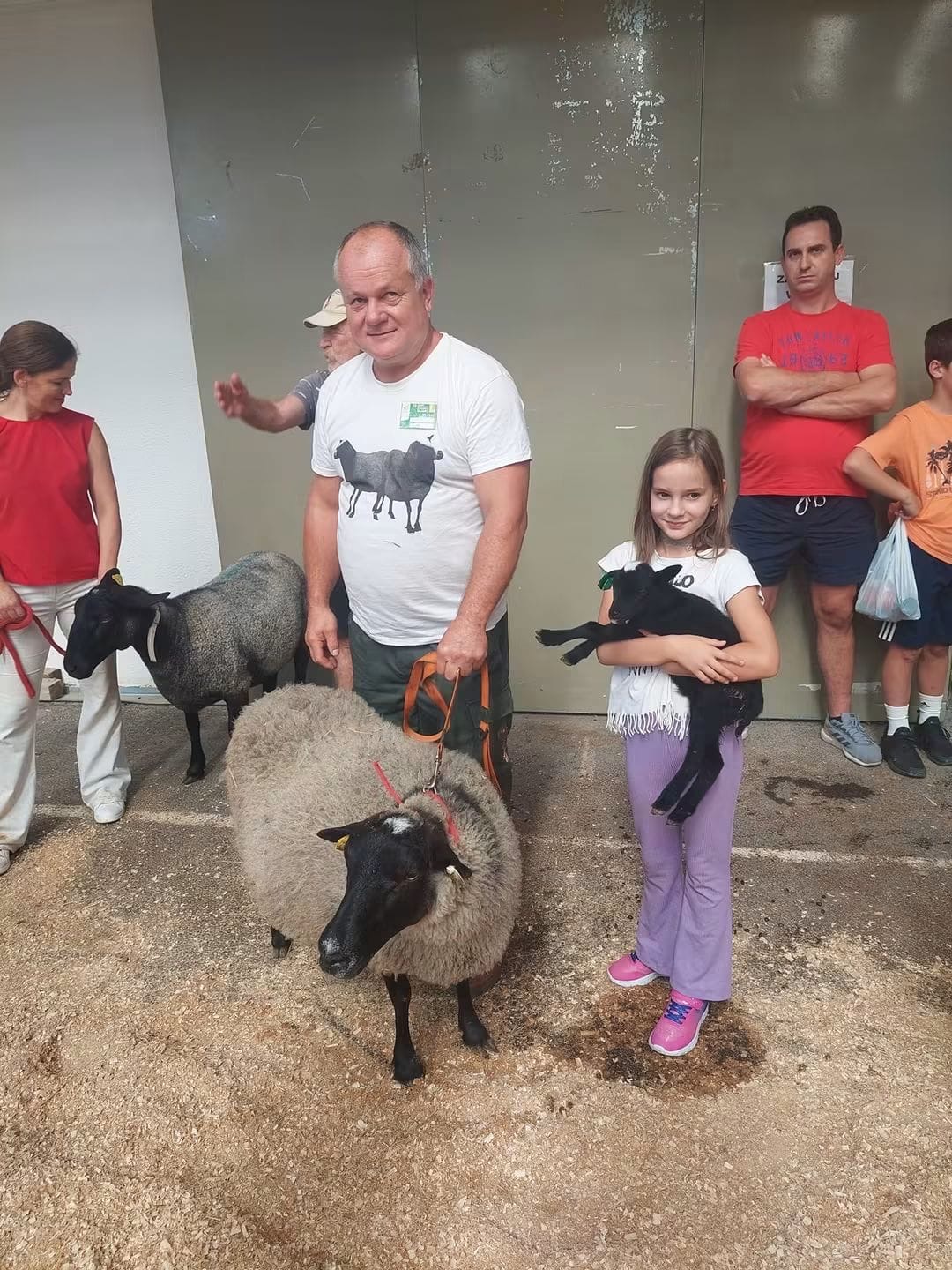 Naše ovce na dodjeli nagrada